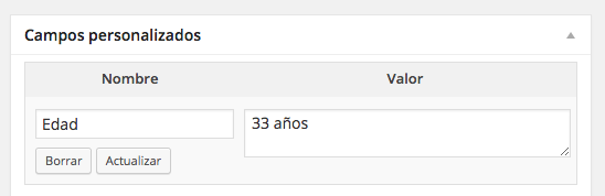 WordPress Custom Field